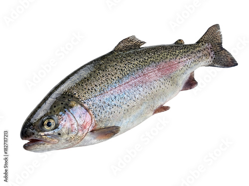 Rainbow trout fish isolated on transparent background, cutout, png cutout