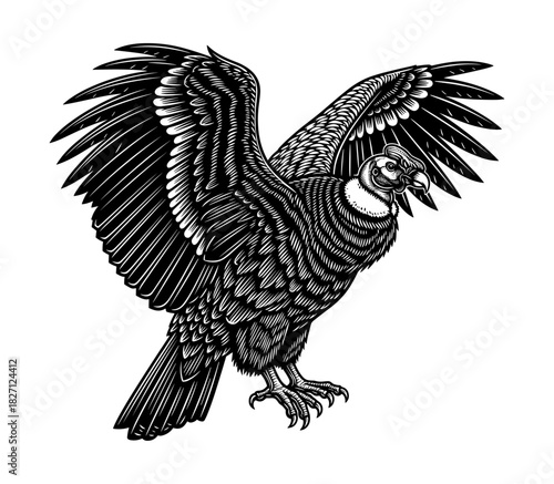 Vulture with spread wings in detailed line art