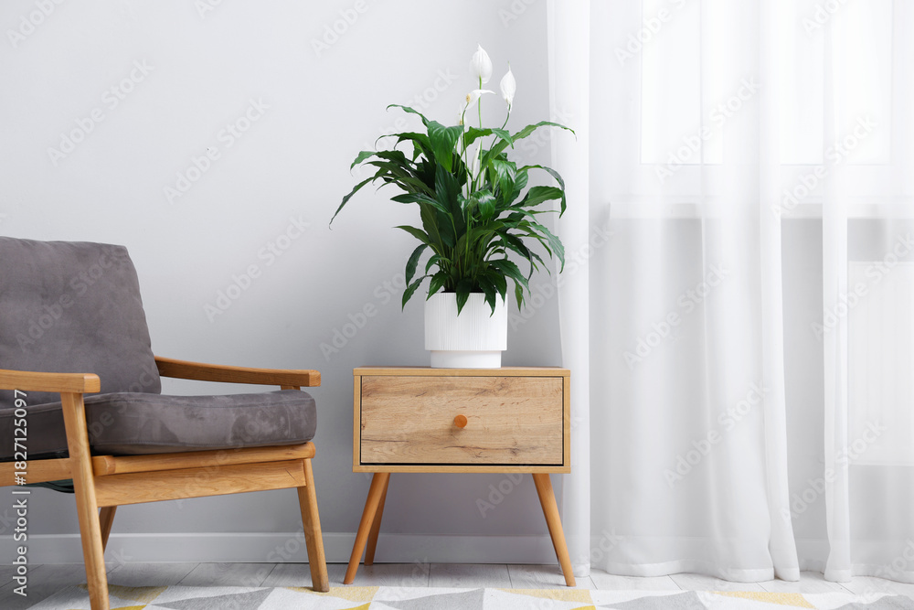 Naklejka premium Beautiful spathiphyllum (peace lily) houseplant with flowers on wooden table at home
