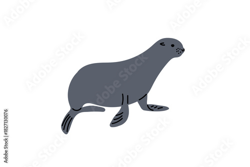 Big-eared Gray seal. Seal has friendly expression and is standing on its flippers. Flat Vector Illustrations Isolated. Wild Aquatic mammal of pinniped order