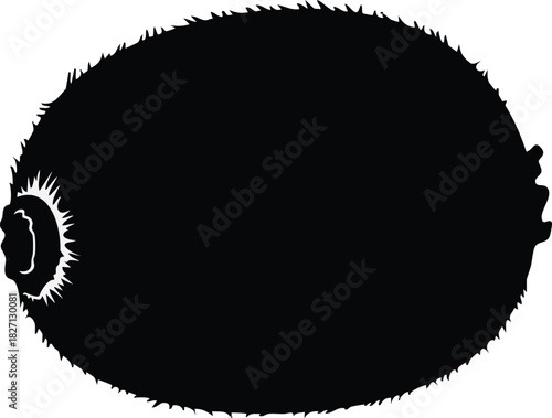 Silhouette of a kiwi fruit simple vector illustration isolated on white background