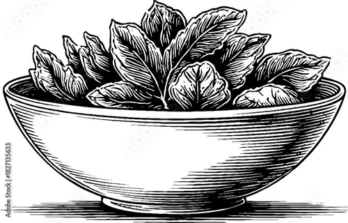 Decorative engraved ceramic bowl with fresh leaves illustration for design