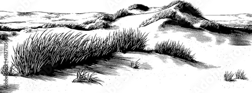 Coastal dune landscape engraving art for decorative designs