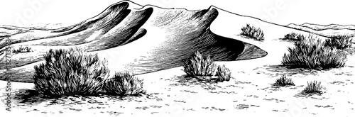 Vintage engraved desert landscape illustration with sand dunes and vegetation