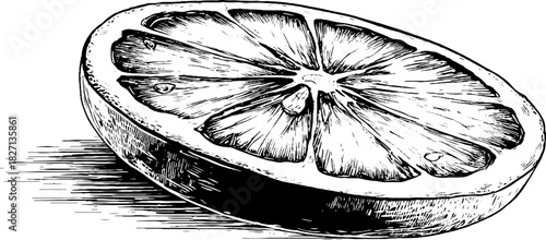 Vintage engraved illustration of a dried citrus slice for retro design projects