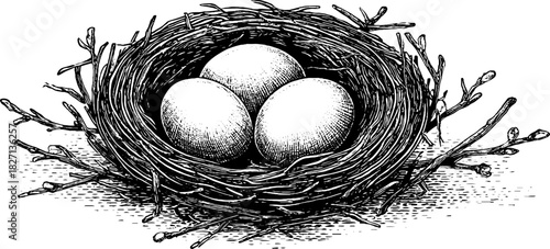 Vintage hand-drawn illustration of a nest with three eggs for retro design elements