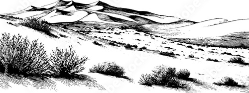 Engraved decorative illustration of a polar landscape with mountains and vegetation