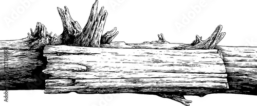 Ornate engraving of a vintage rugged banner for design projects