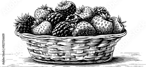 Rustic berry basket engraving - vintage decorative sketch for design and decor