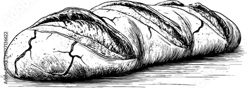 Rustic bread loaf hand drawn engraving - perfect for kitchen decor and culinary designs