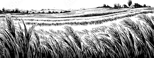 Serene grassland landscape in engraved decorative style for artistic design