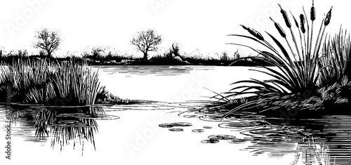 Serene lakeshore landscape with reeds and trees for vintage print design