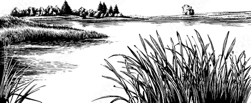 Serene lakeside landscape with grasses and trees in vintage engraved style for nature art design