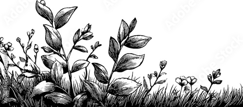 Vintage spring border with leaves and flowers - decorative design for print and card