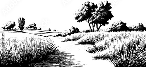 Engraved decorative illustration of a scenic summer landscape for art and design