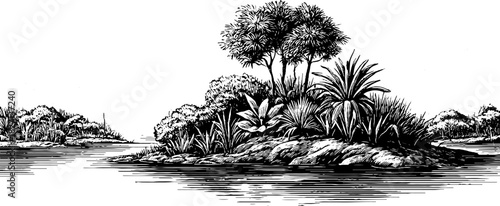 Ornate hand drawn engraving of a tranquil swamp landscape scene