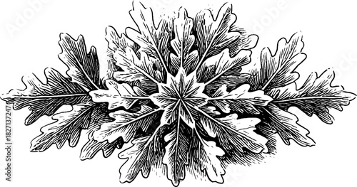 Intricate swirling snowflake engraving design for winter themed decor and crafts