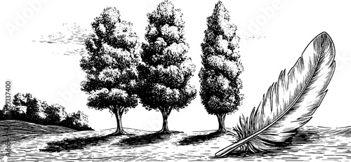 Vintage woodland landscape with feather depicting tranquil nature scene