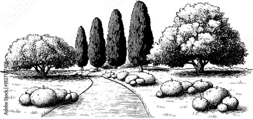 Vintage engraved illustration of a scenic woodland pathway for nature-inspired designs