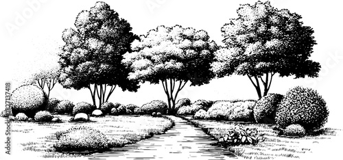 Serene woodland path landscape in detailed engraving design for nature lovers