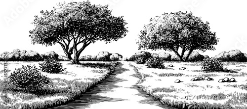 Engraved decorative woodland path landscape illustration for nature-themed designs