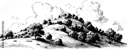 Engraved abstract hillside landscape with decorative elements for retro design