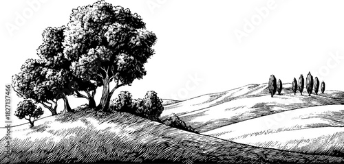 Decorative engraved landscape of abstract hillside with trees for retro design