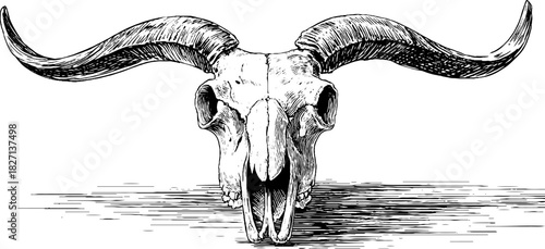 Decorative alpine goat skull engraving for vintage themed designs