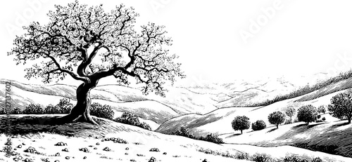 Autumn hillside landscape with engraved decorative tree silhouette for art design