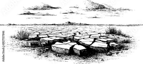 Engraved decorative illustration of cracked seabed mud pattern landscape