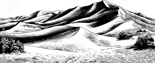 Intricate dune ridge patterns in engraved decorative landscape art