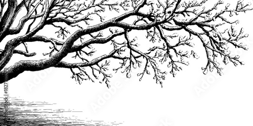 Intricate frost trails on tree branches for winter decor and design