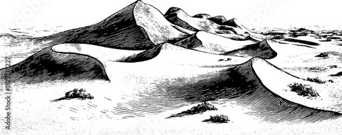 Engraved illustration of soft drift sand patterns in desert landscape for artistic design
