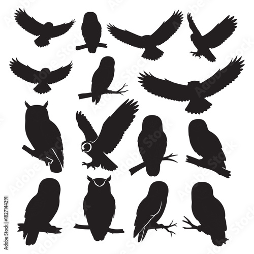Collection of diverse owl silhouettes in various poses including flying and perching Vector