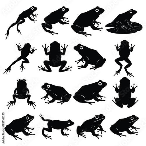Various frog silhouettes in different poses, showcasing amphibian animal shapes Vector