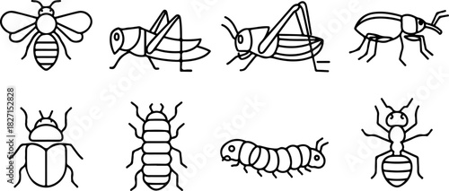 Line art illustrations of common insects bee, grasshopper, beetle, termite, caterpillar, and ant, isolated on transparent background