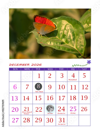 Year 2026 Butterfly Theme Calendar | Ready to Print Office Calendar 2026 | USA Calendar for General Reference