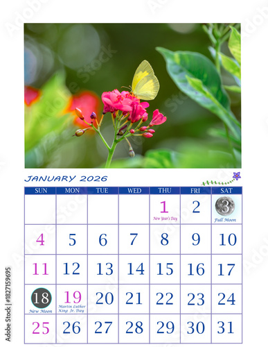 Year 2026 Butterfly Theme Calendar | Ready to Print Office Calendar 2026 | USA Calendar for General Reference