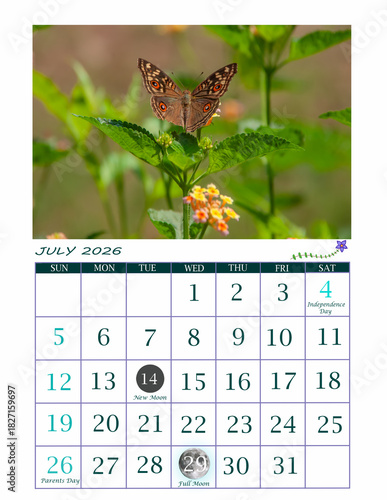 Year 2026 Butterfly Theme Calendar | Ready to Print Office Calendar 2026 | USA Calendar for General Reference