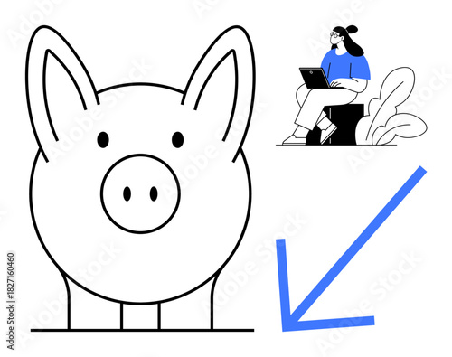Financial planning. Piggy bank savings, downward arrow for budget management, and a woman with a laptop. Financial advice, investment strategies, economic concepts, personal finance, educational use