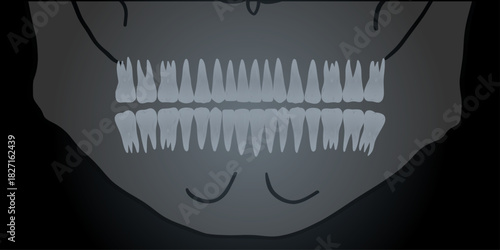 Hand-drawn X-ray illustration of a skull with teeth, dental and jaw anatomy. Dental education, medical posters, clinic materials, oral health guides, and anatomy infographic