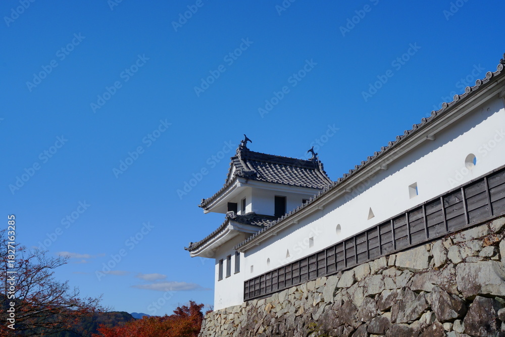 Fototapeta premium 青空を背景に立つ郡上八幡城の城郭【11月】
