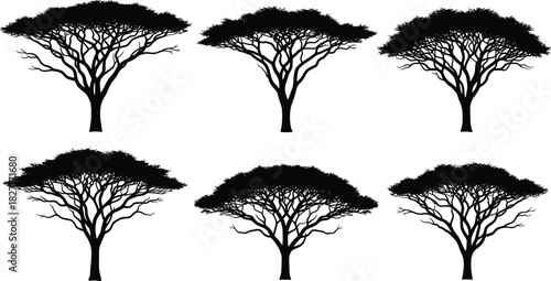 Collection of detailed acacia tree silhouettes with wide canopies perfect for African landscape themes, nature design elements, safari artwork, and botanical illustrations