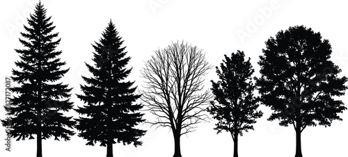 Collection of detailed tree silhouettes including pine, bare winter, and leafy trees, nature illustration set for forest design and landscape artwork