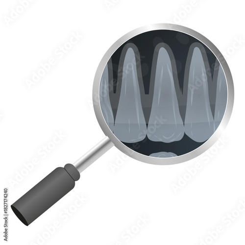 Hand-drawn illustration of all 32 healthy adult teeth with CT scan and X-ray views of multiple teeth, internal anatomy, roots, and jaw alignment zoom. Dental education. Professional dentistry content