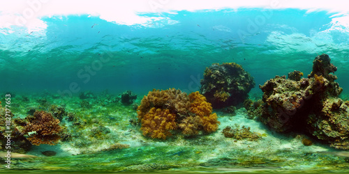 Coral garden seascape. Colourful tropical coral. Philippines. 360 panorama VR