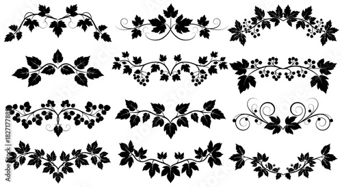 Elegant black vine and leaf decorative borders and flourishes evoke natural beauty and timeless design for versatile creative projects