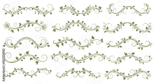 Elegant floral scroll dividers and decorative flourishes add a touch of vintage charm to invitations, stationery, and elegant designs.