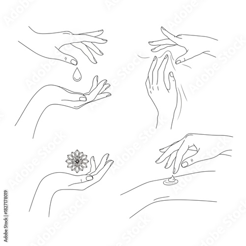 Elegant hands performing skincare rituals, applying serum, lotion, and holding delicate flower for natural beauty and wellness concepts