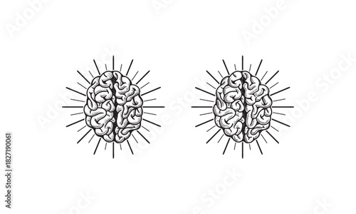 Two Detailed Line Drawings of Human Brains With Sunburst Effects